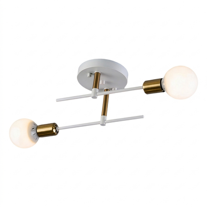 Duo ceiling lamp - white background