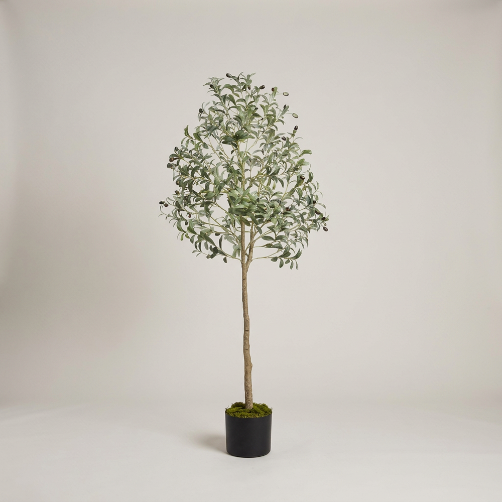 Olea Artificial Olive Tree Tall Faux Indoor Plant Lifelike Leaves Moss Pot Living Room Corner
