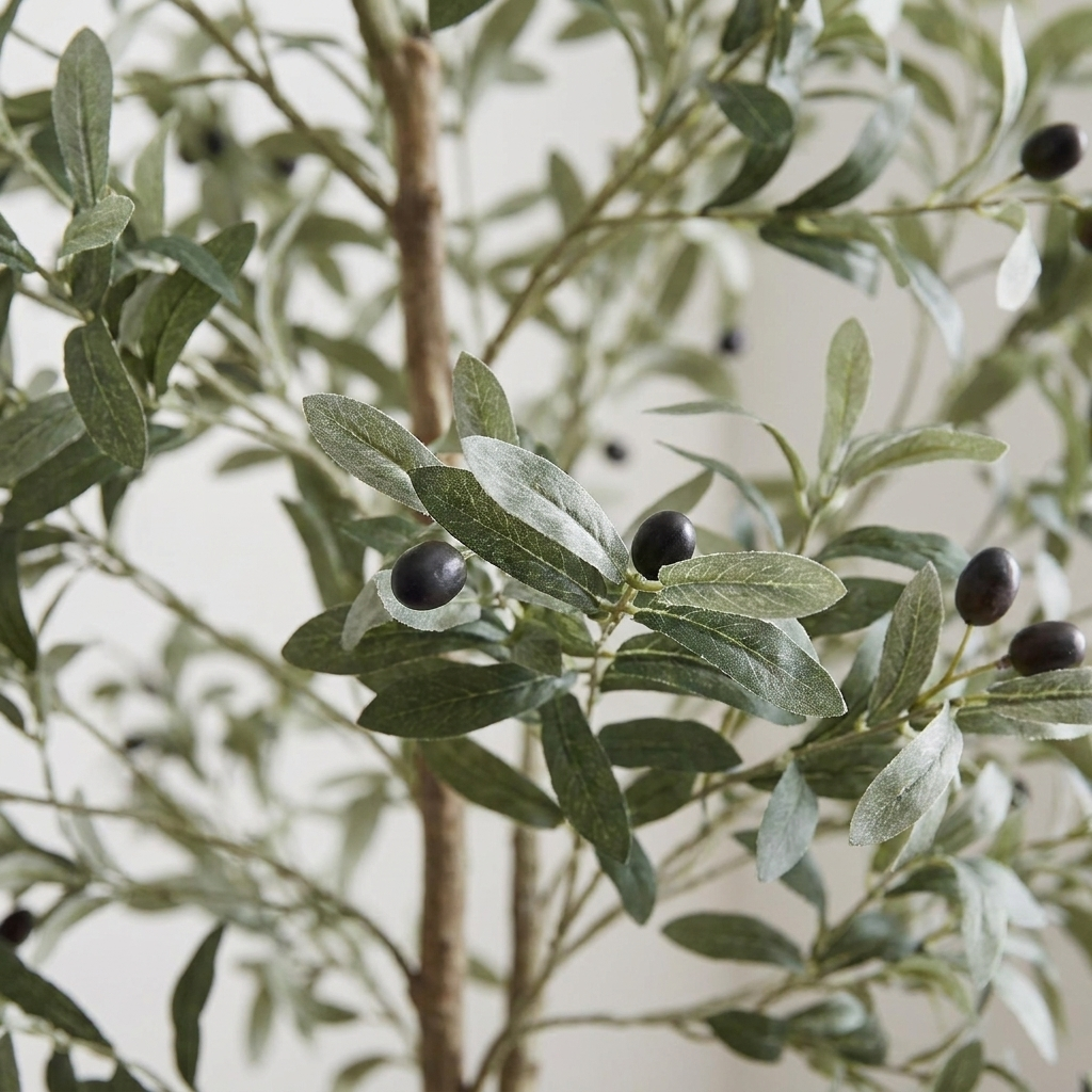 Olea olive tree - detail